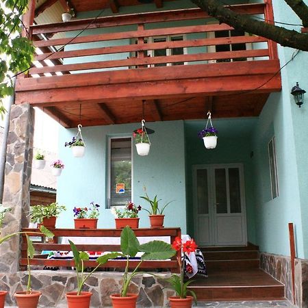 Hotel Busta House Bogdan Vodă Zewnętrze zdjęcie
