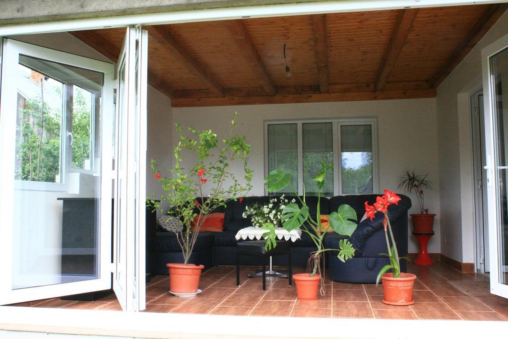Hotel Busta House Bogdan Vodă Zewnętrze zdjęcie