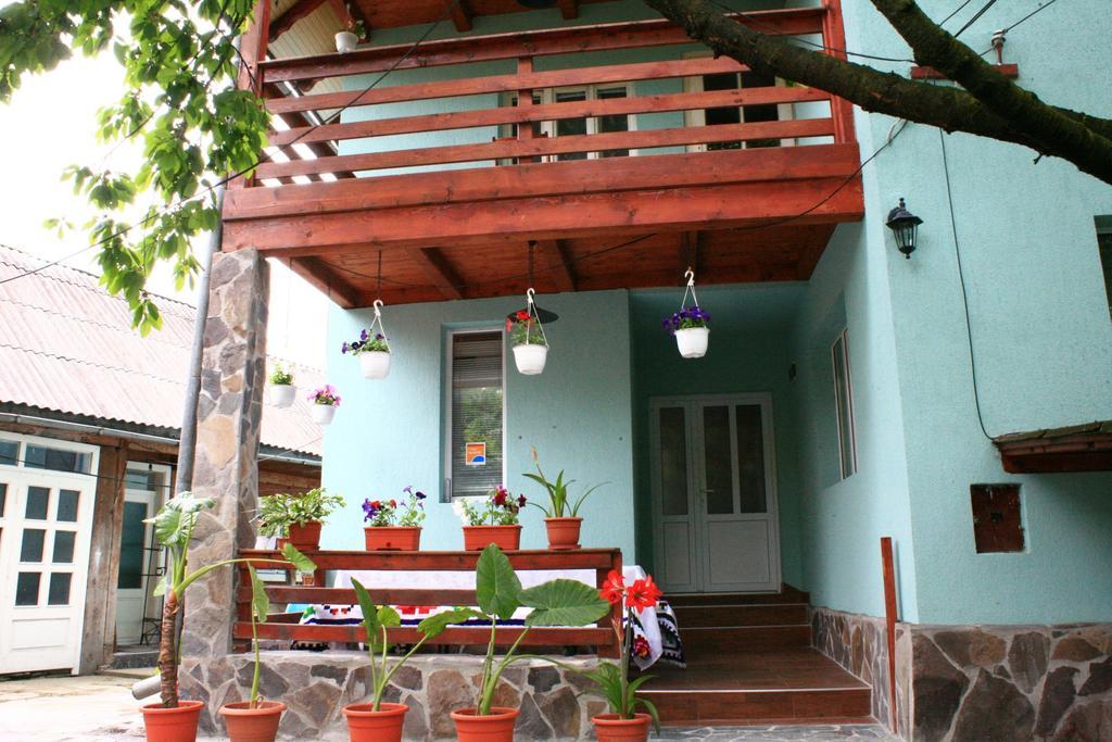 Hotel Busta House Bogdan Vodă Zewnętrze zdjęcie