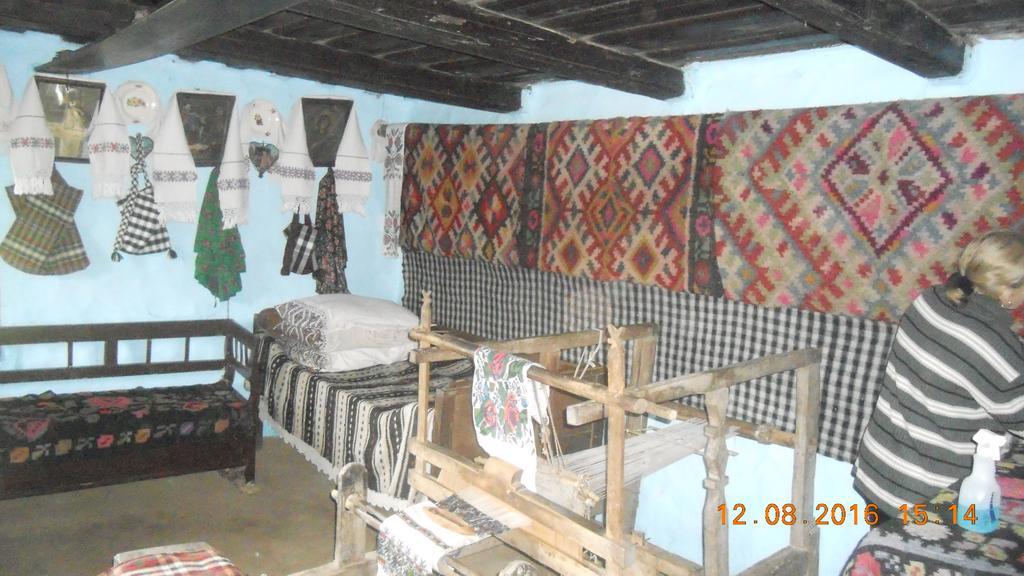 Hotel Busta House Bogdan Vodă Zewnętrze zdjęcie