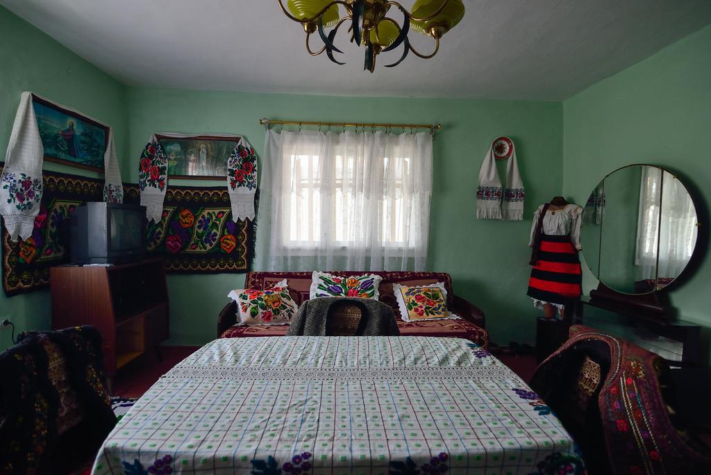Hotel Busta House Bogdan Vodă Zewnętrze zdjęcie
