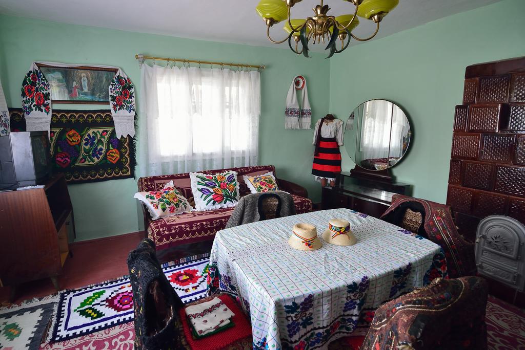 Hotel Busta House Bogdan Vodă Zewnętrze zdjęcie